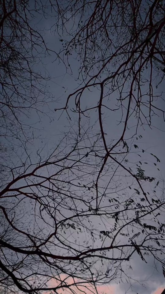 Post 5 by Idem Officiel on TikTok (video)