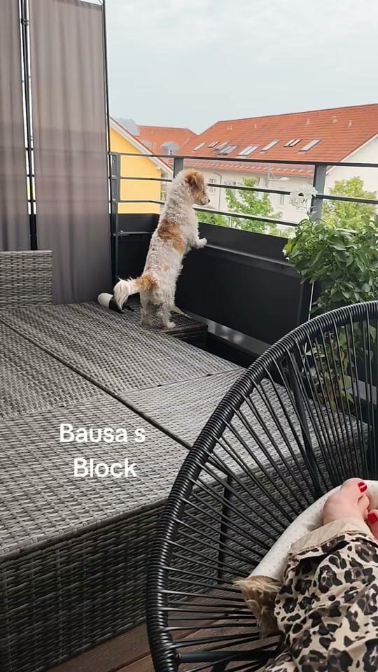 Post 10 by dianders88 on TikTok (video)