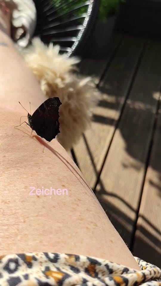 Post 7 by dianders88 on TikTok (video)
