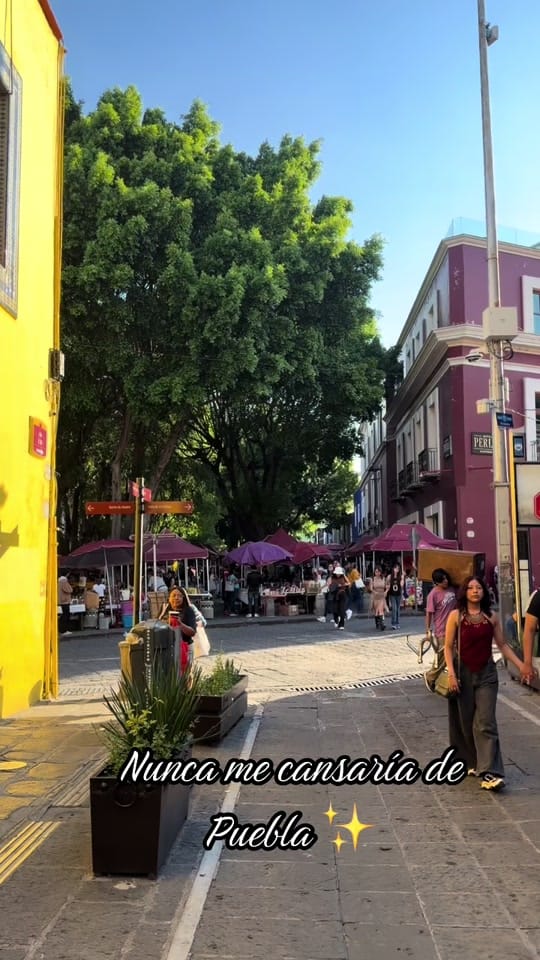 Post 5 by Shai García on TikTok (video)