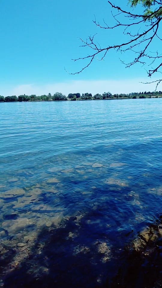 Post 5 by Flavio Garcia Cruz on TikTok (video)