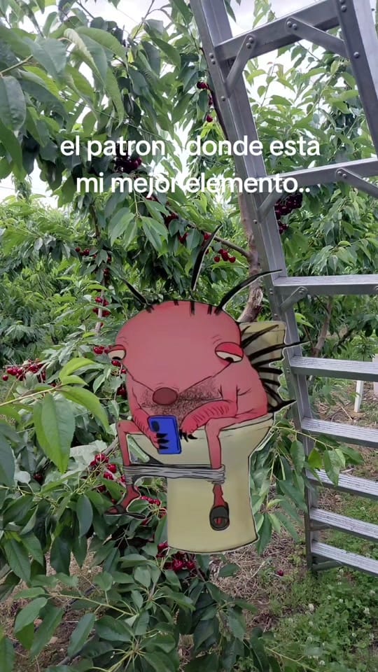 Post 6 by Flavio Garcia Cruz on TikTok (video)