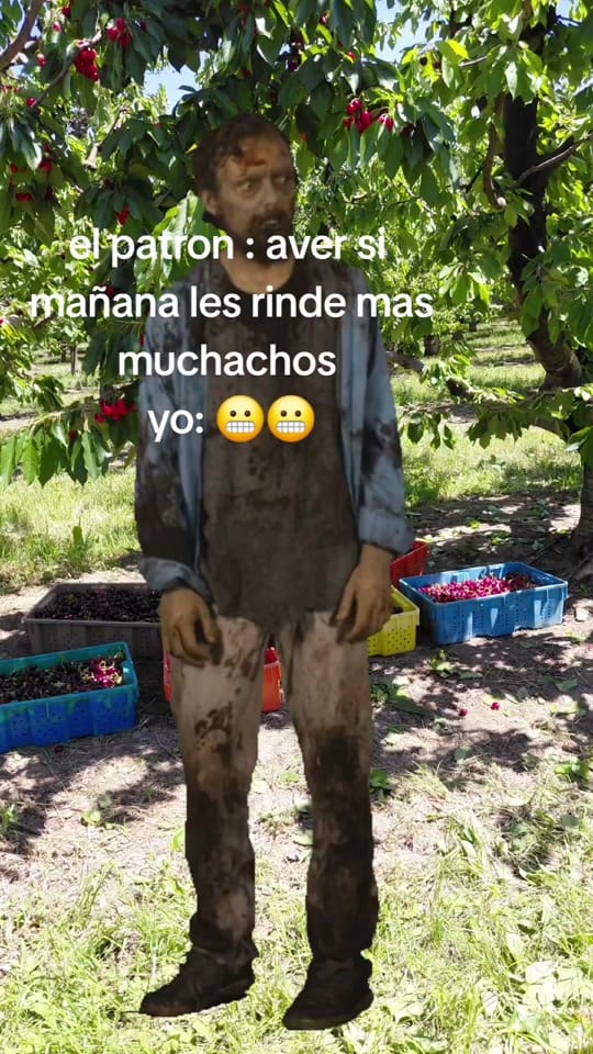 Post 7 by Flavio Garcia Cruz on TikTok (video)