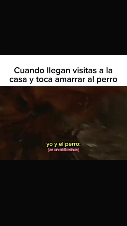 Post 8 by J. I. Fredick on TikTok (video)