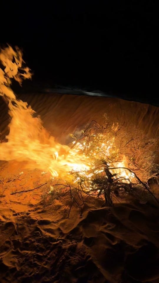 Post 4 by K.khaled on TikTok (video)