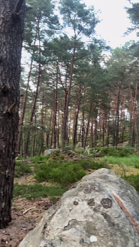 Post 2 by K.khaled on TikTok (video)