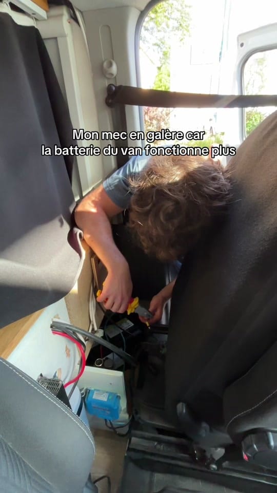 Post 6 by Manon&Marceau on TikTok (video)