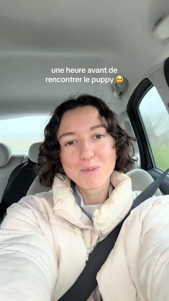 Post 10 by Manon&Marceau on TikTok (video)