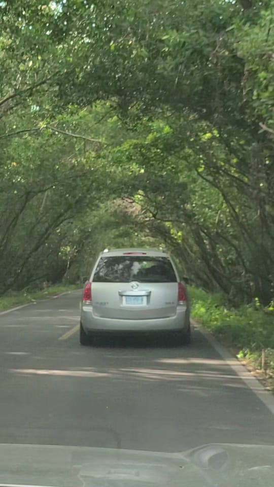 Post 6 by Chihuahua a través de mi lente on TikTok (video)