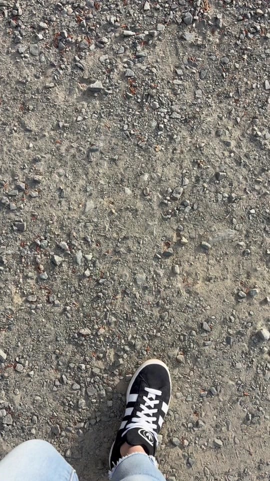 Post 1 by levanammeaudi on TikTok (video)