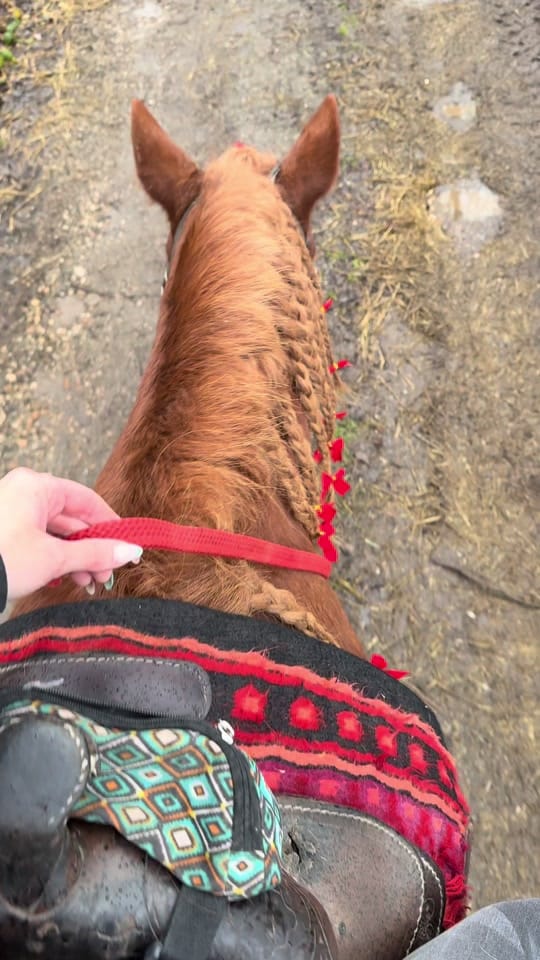 Post 1 by MrsLaurie on TikTok (video)