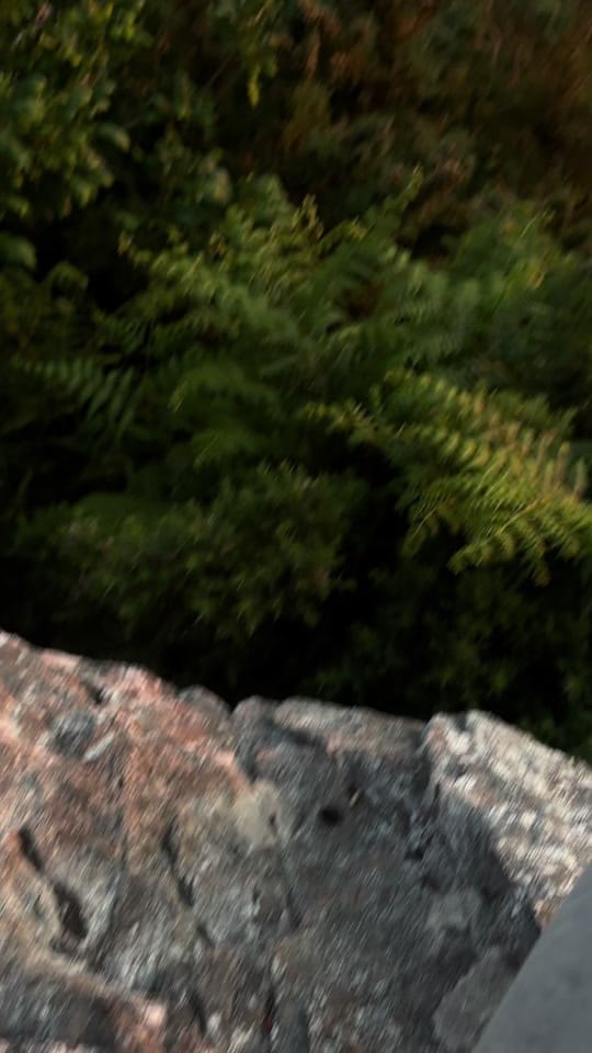 Post 5 by 𝓐𝓷𝓽𝓸𝓲𝓷𝓮.𝓹𝓲𝓬𝓼𝓼 on TikTok (video)