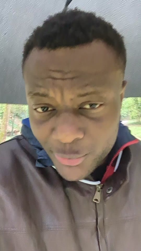 Post 4 by Voyageur Dormeur on TikTok (video)