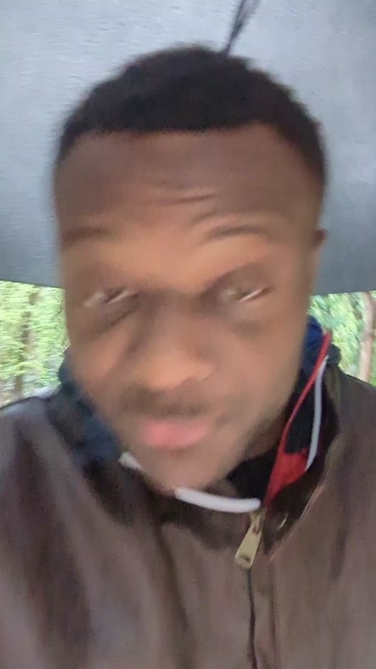 Post 3 by Voyageur Dormeur on TikTok (video)