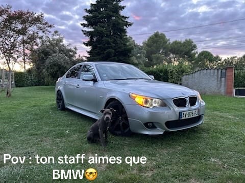Post 3 by Tyff😋 on TikTok (video)