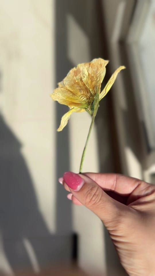 Post 1 by Melyalcala on TikTok (video)