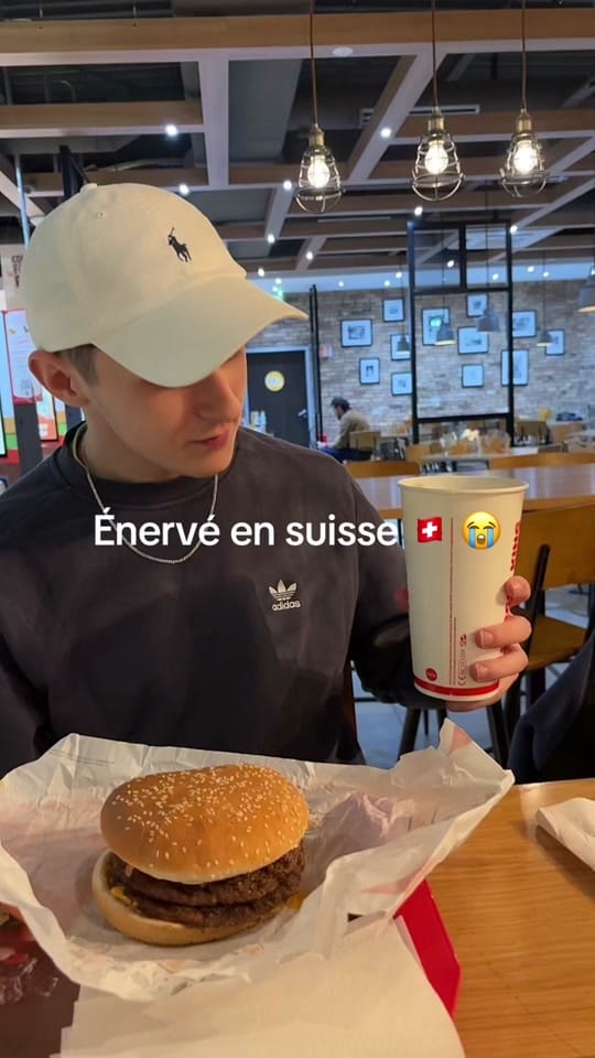 Post 1 by ⩖⃝ Volks_fox ⩖⃝ on TikTok (video)