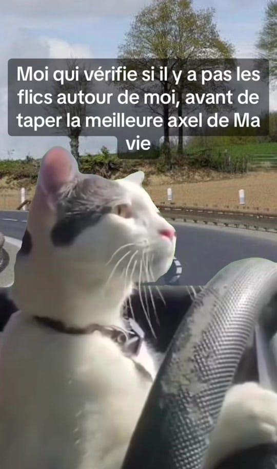 Post 6 by ⩖⃝ Volks_fox ⩖⃝ on TikTok (video)