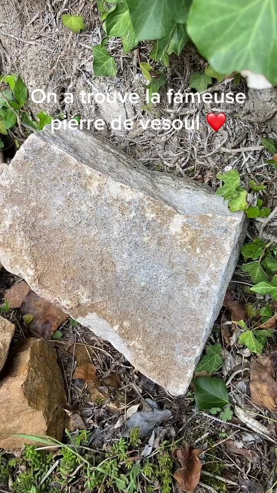 Post 10 by ⩖⃝ Volks_fox ⩖⃝ on TikTok (video)