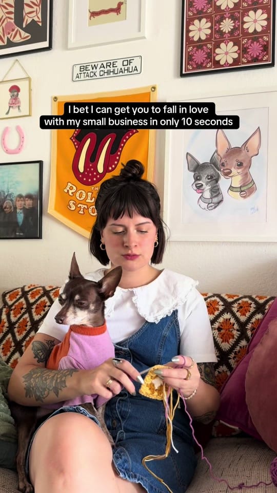 Post 2 by Boot Scootin’ Crochet for Pets on TikTok (video)