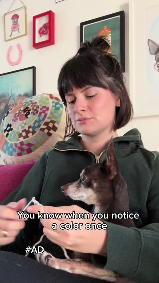 Post 10 by Boot Scootin’ Crochet for Pets on TikTok (video)