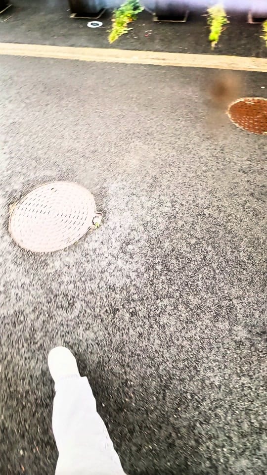 Post 6 by O𝐮𝐥𝐚 𝐠𝐧𝐭 ᶜ on TikTok (video)