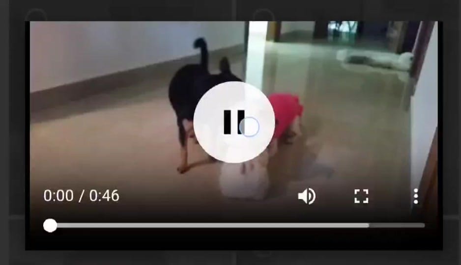Post 1 by Efrosinia on TikTok (video)