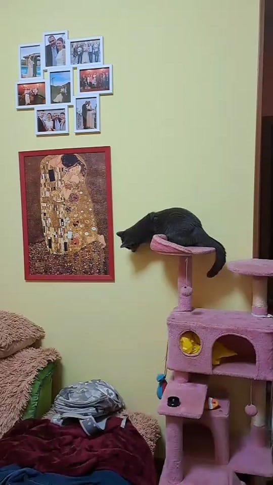 Post 2 by Efrosinia on TikTok (video)