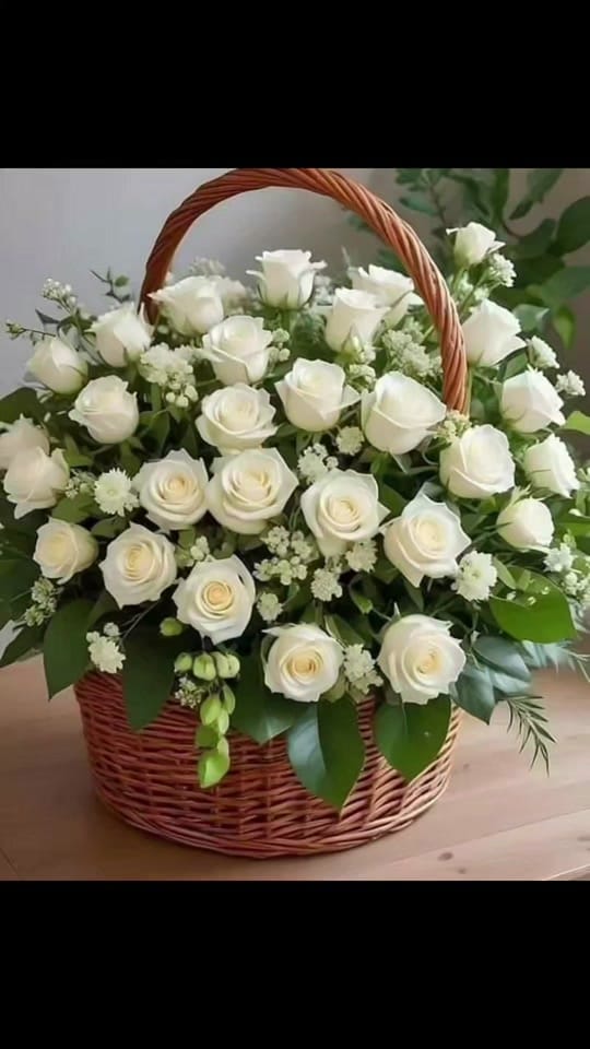 Post 4 by Efrosinia on TikTok (video)