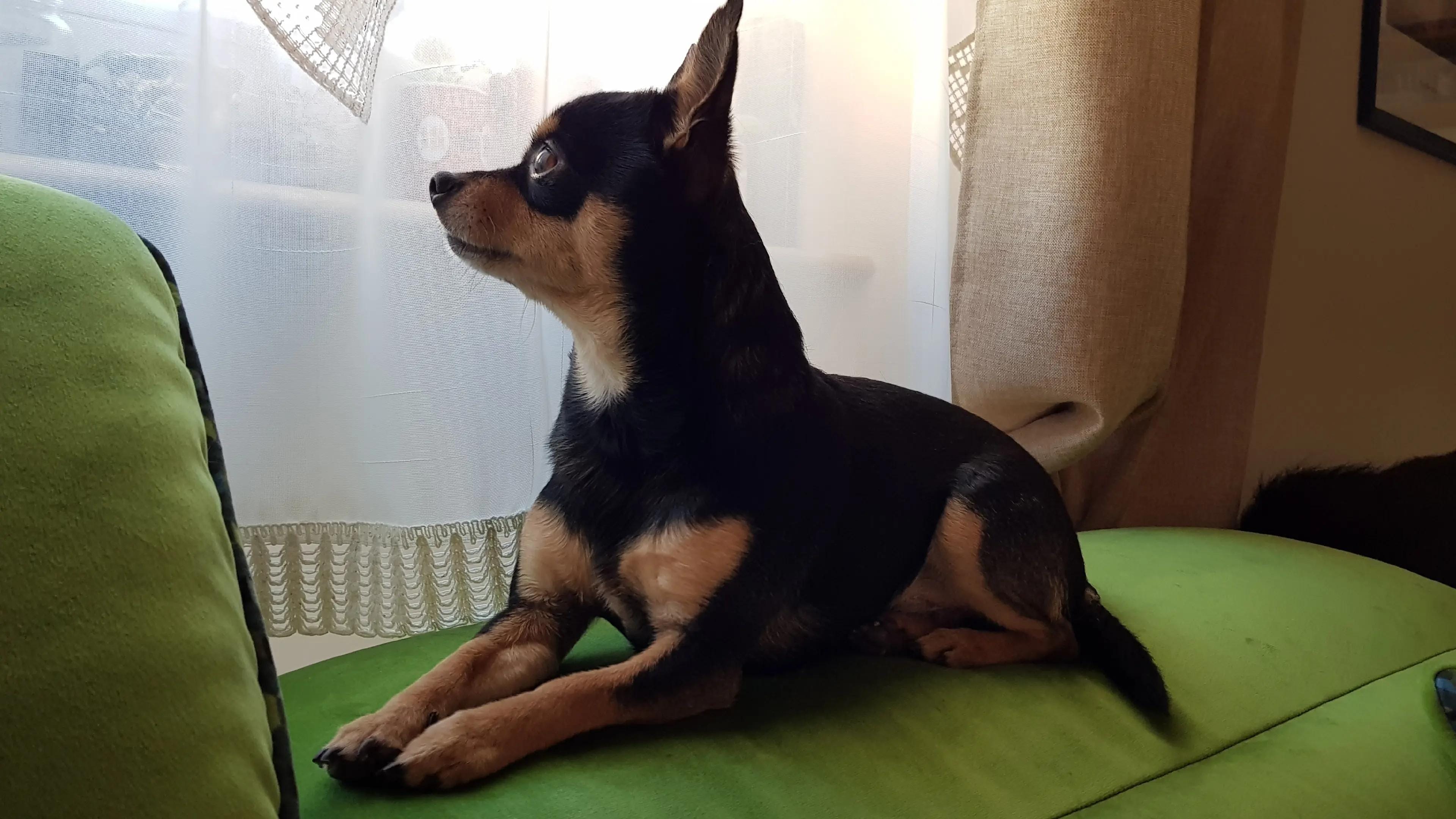 Post 10 by Efrosinia on TikTok (video)