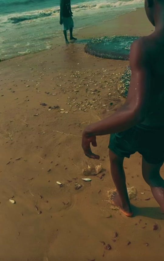 Post 7 by Kracktwist_Lamina on TikTok (video)
