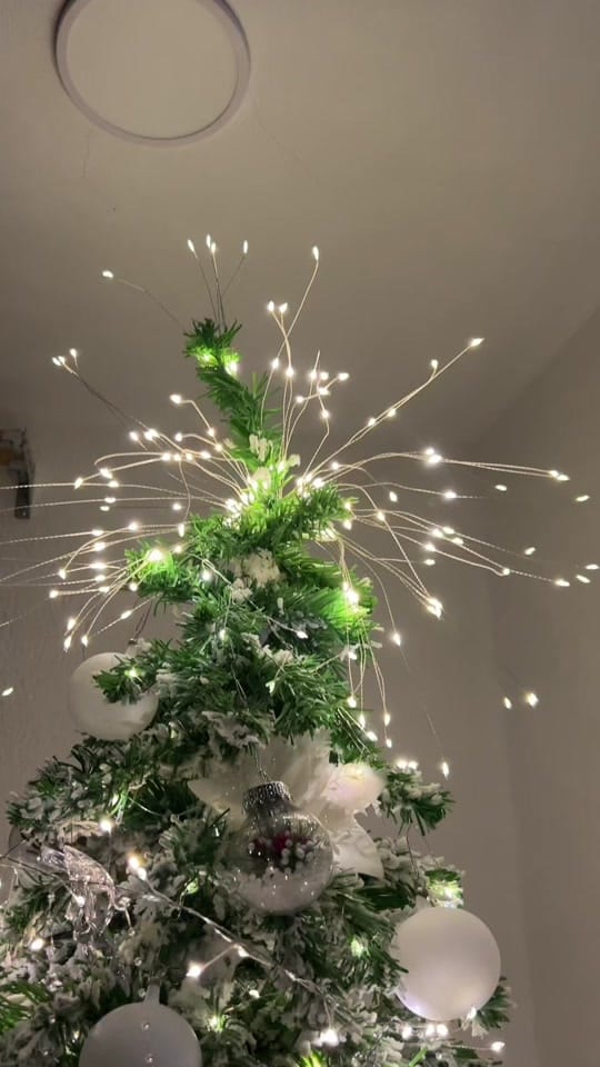 Post 5 by Dayan Michell on TikTok (video)
