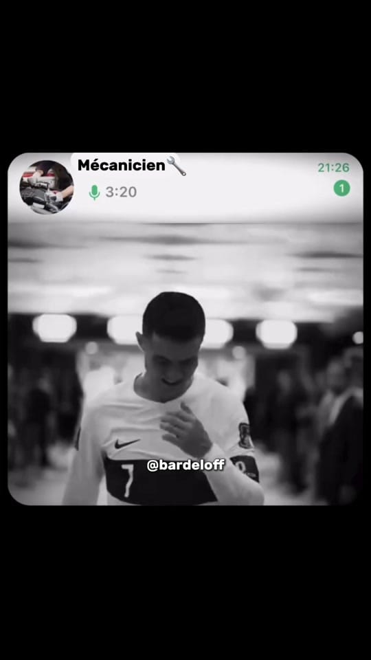 Post 4 by Bardeloff on TikTok (video)