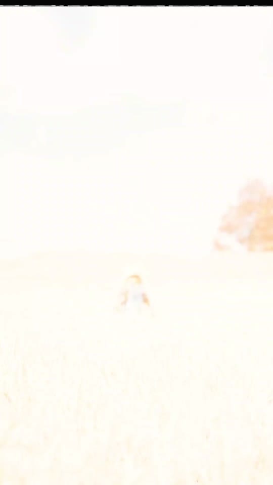 Post 2 by happylittlepolygons on TikTok (video)