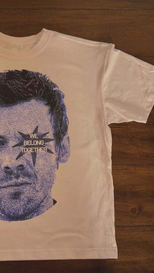 Post 5 by Placard Fan Art Merch ★ on TikTok (video)