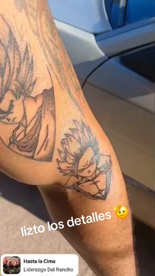 Post 1 by mane on TikTok (video)