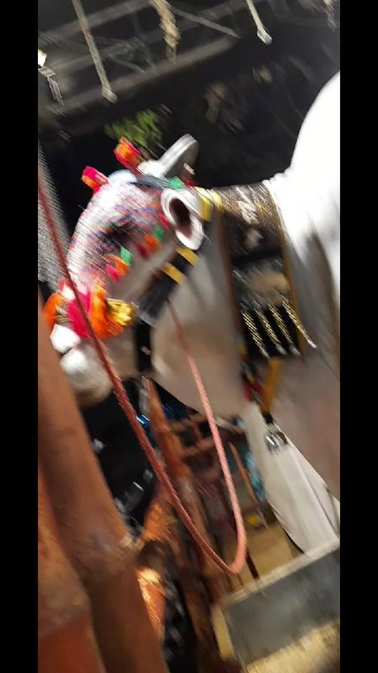Post 1 by hijab queen❤️ on TikTok (video)