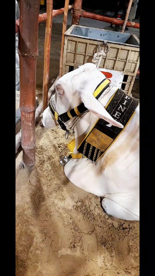 Post 2 by hijab queen❤️ on TikTok (video)