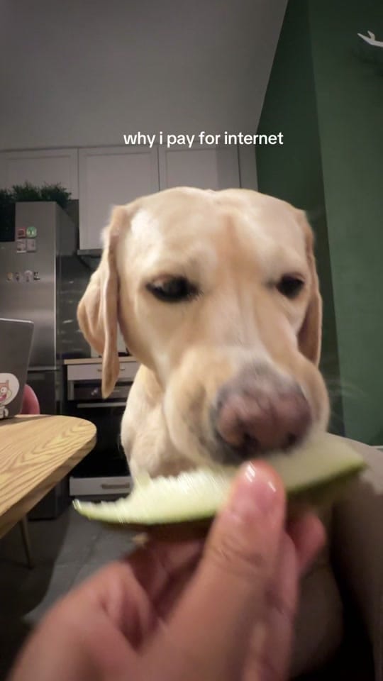 Post 5 by Sticky Rice Mady on TikTok (video)