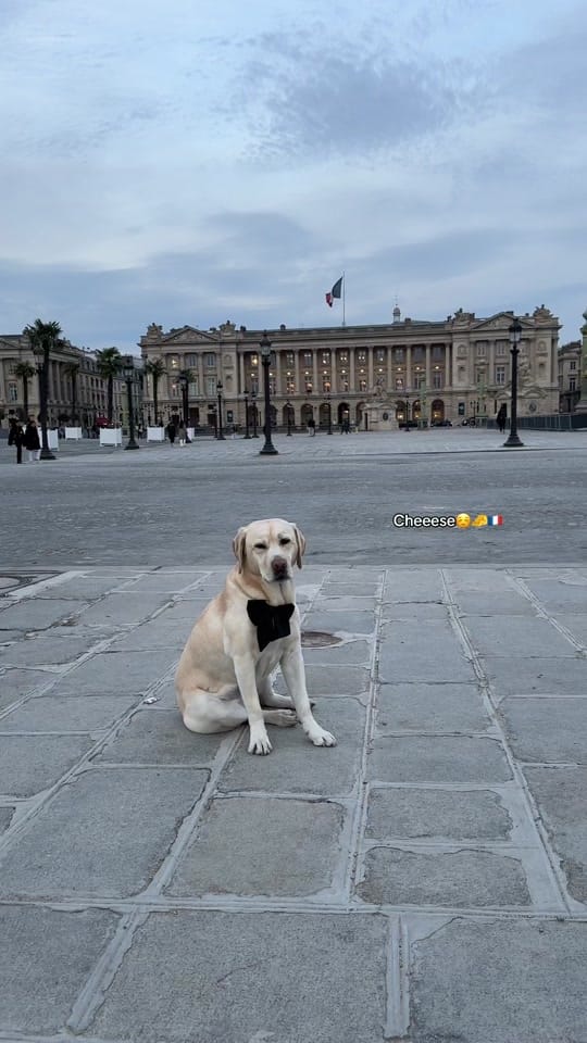 Post 1 by Sticky Rice Mady on TikTok (video)