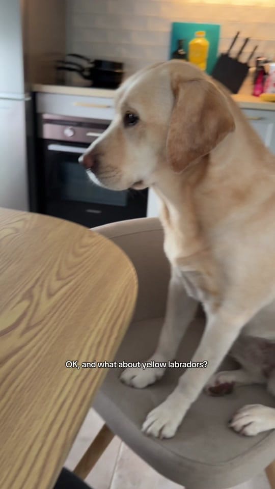 Post 6 by Sticky Rice Mady on TikTok (video)