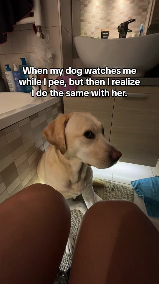 Post 9 by Sticky Rice Mady on TikTok (video)
