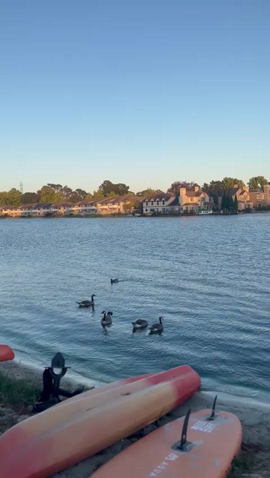 Post 8 by Madalyonllc on TikTok (video)
