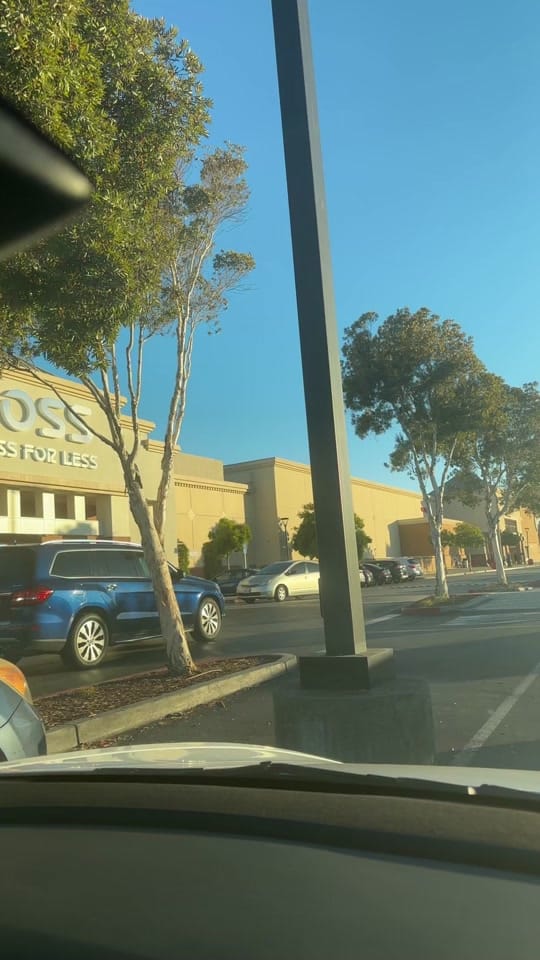 Post 6 by Madalyonllc on TikTok (video)
