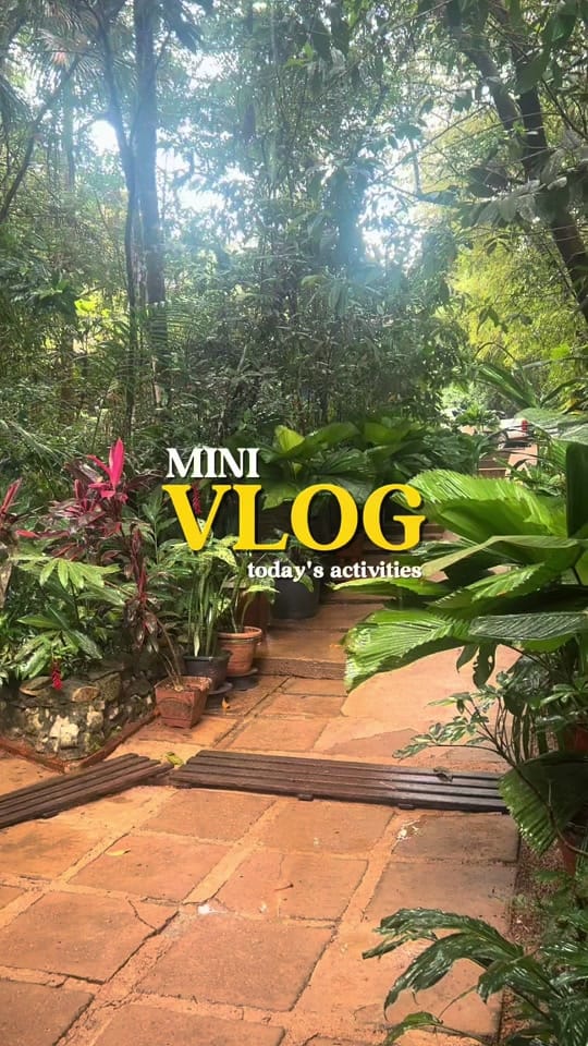 Post 2 by 🦋B.linda🦋 on TikTok (video)