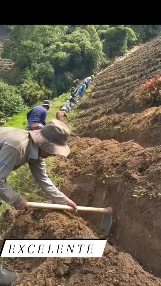 Post 7 by Titerman 🦸‍♂️ on TikTok (video)