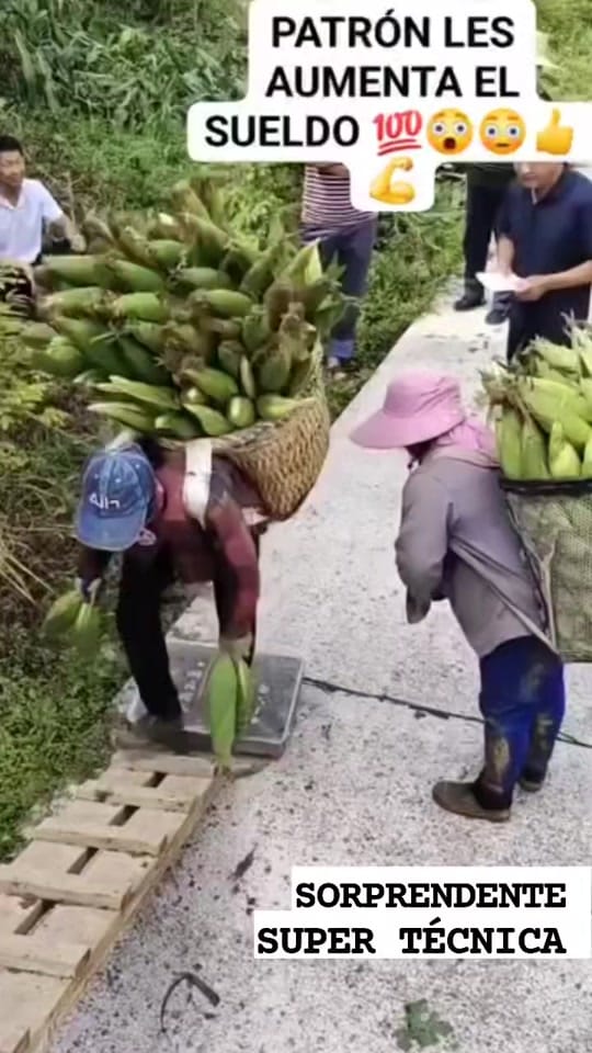 Post 2 by Titerman 🦸‍♂️ on TikTok (video)