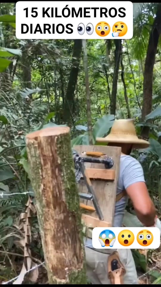 Post 10 by Titerman 🦸‍♂️ on TikTok (video)