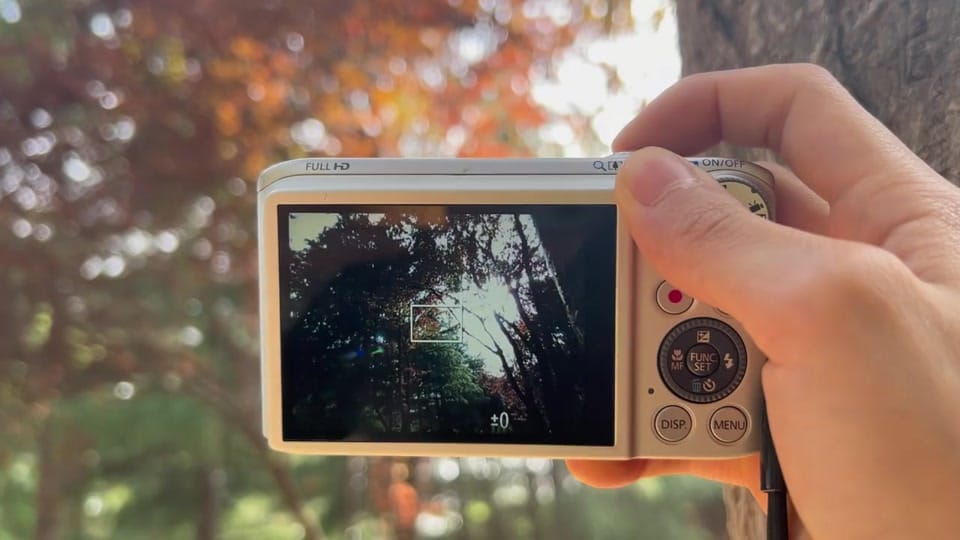 Post 9 by Studiosai_ccd on TikTok (video)