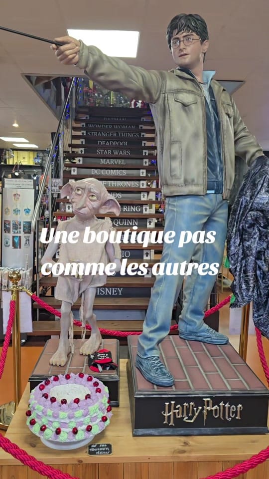 Post 9 by Baguettes et Sortilèges on TikTok (video)